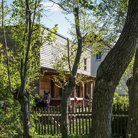 Villa Buchholz Saloon Altlandsberg Exterior foto